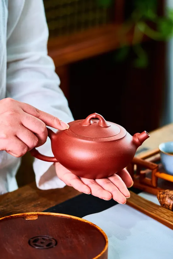 Yixing Teapot | Master Li's Bamboo Design Zisha Clay Artistry 6