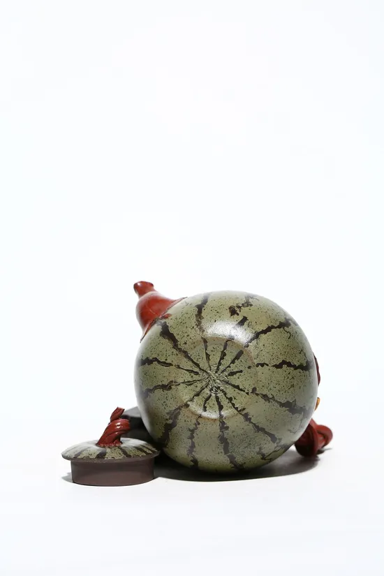 Premium Yixing Clay Teapot | Artisan Zisha Pottery Collection 7