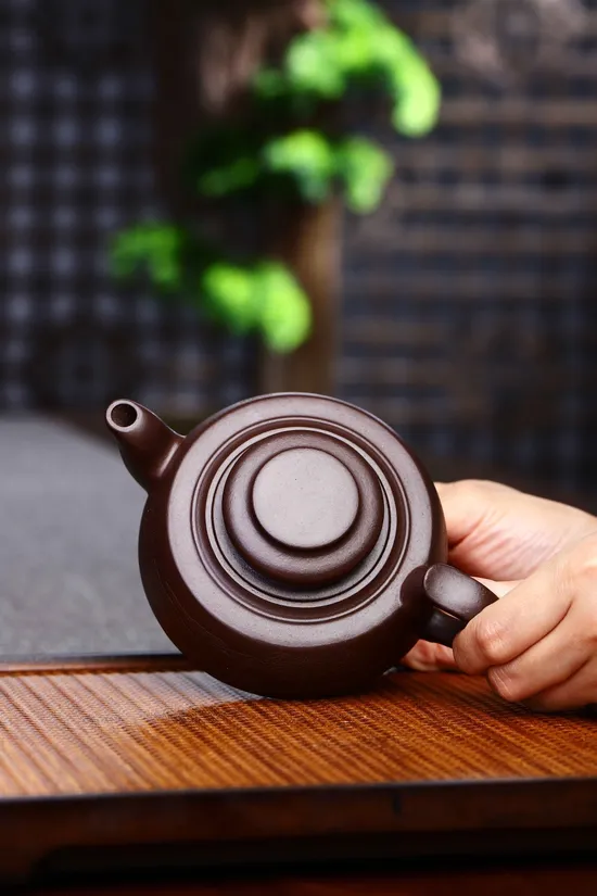 Premium Yixing Zisha Teapot | Handcrafted Collectible Tea Art 8