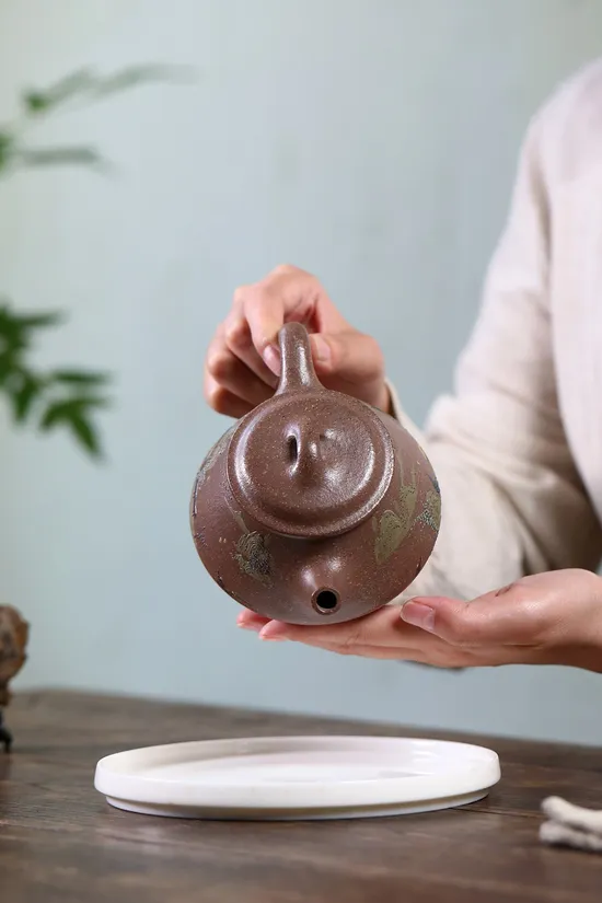 Zisha Teapots: Landscape Stone Spout | Jiang Yaping 3
