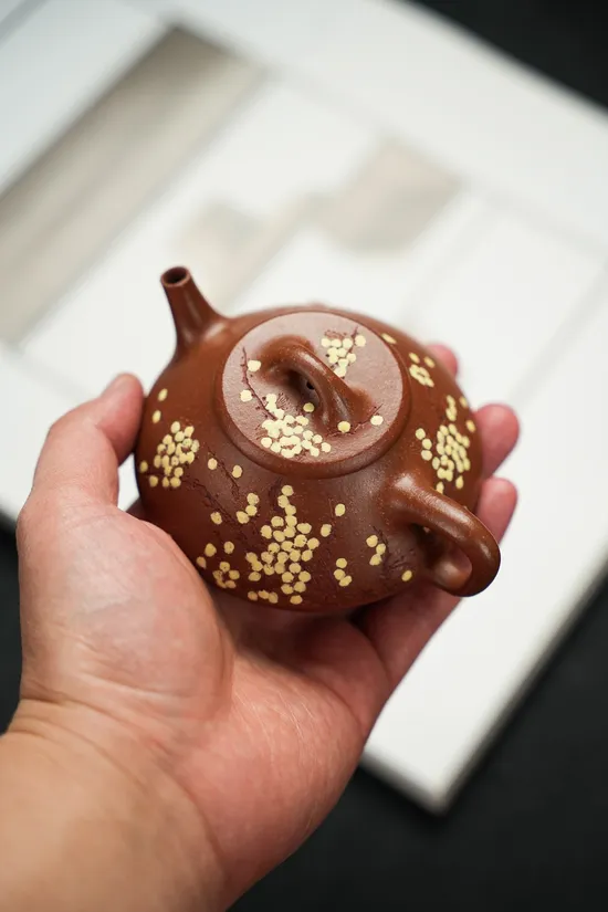 Premium Yixing Teapot | Handcrafted 180cc Zisha Clay Artisan Pot 4