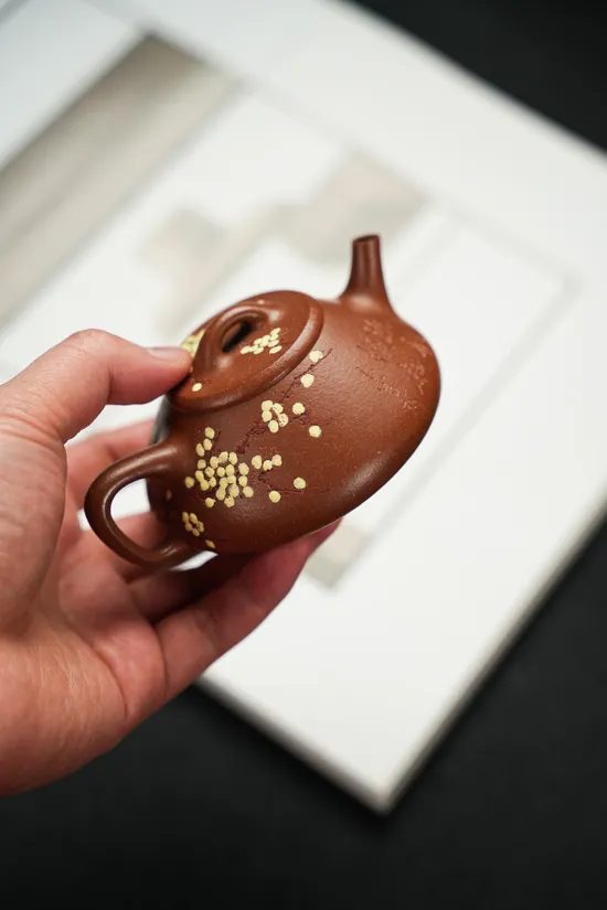Premium Yixing Teapot | Handcrafted 180cc Zisha Clay Artisan Pot 6