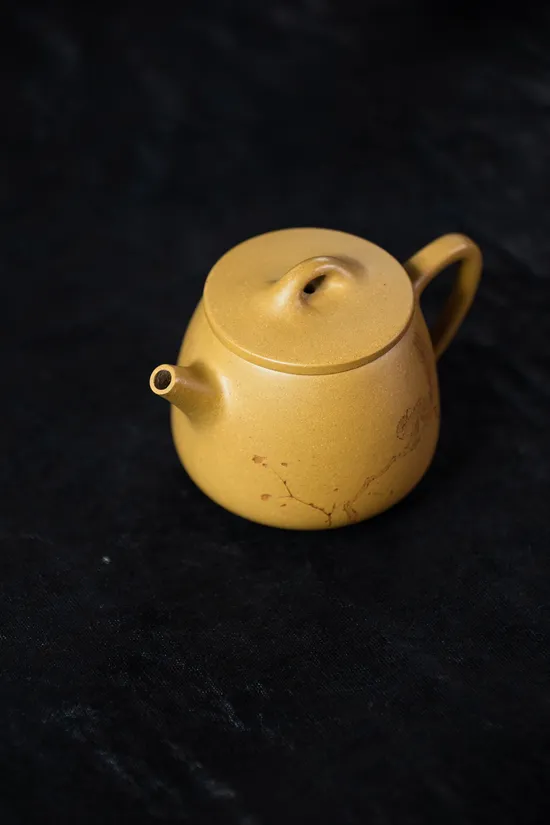 Zisha Teapots: Huangjinduan clay | 10-hole spout 4