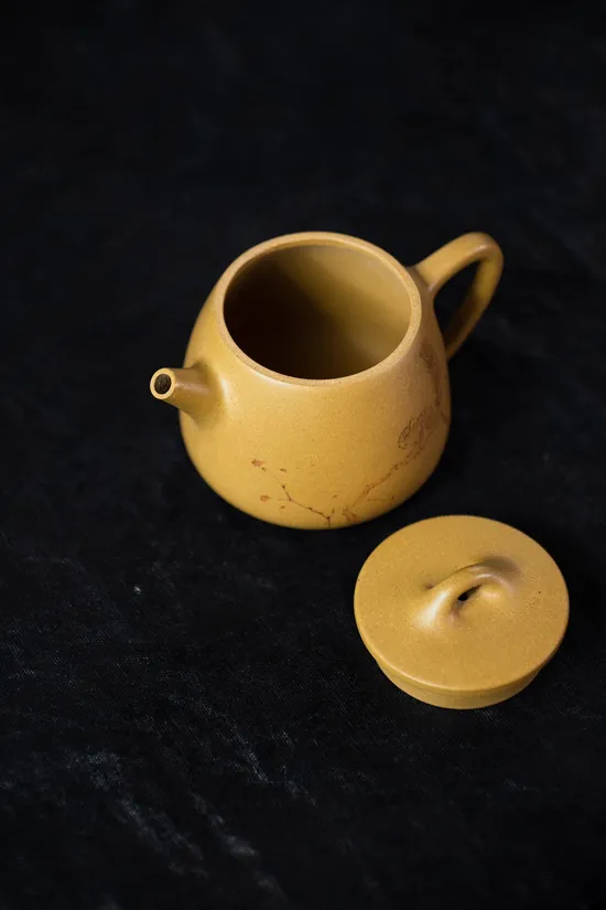 Zisha Teapots: Huangjinduan clay | 10-hole spout 6