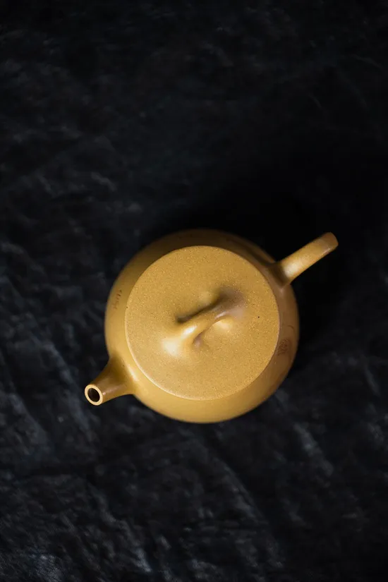 Zisha Teapots: Huangjinduan clay | 10-hole spout 7