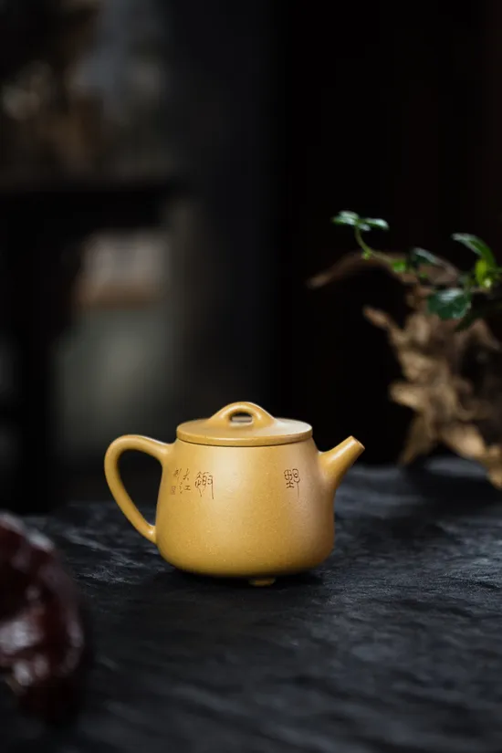 Zisha Teapots: Huangjinduan clay | 10-hole spout 8