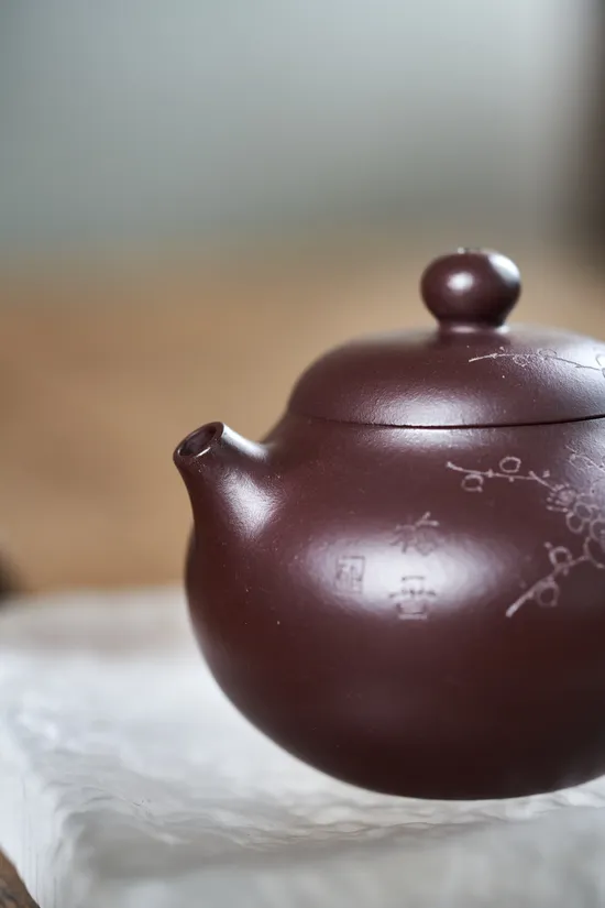 Premium Yixing Zisha Clay Teapot | Handcrafted Artisan Teaware 8