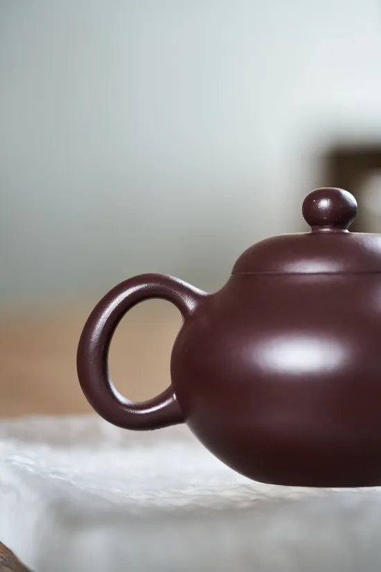Premium Yixing Zisha Clay Teapot | Handcrafted Artisan Teaware 9