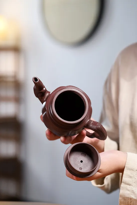Premium Yixing Zisha Teapot | Artisan-Crafted Clay Teapot 7