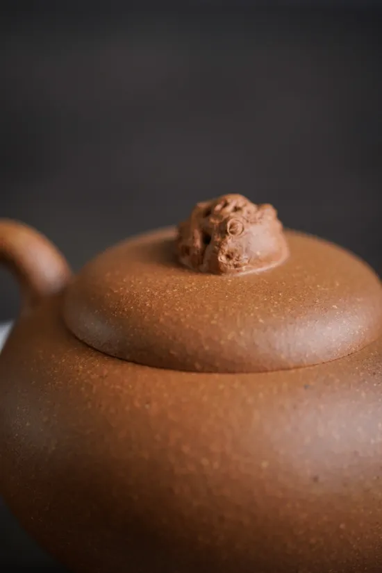 Yixing Clay Teapot | Handcrafted Zisha Pottery | Artisan Ceramics 5