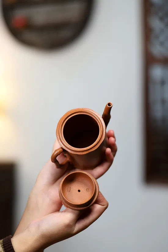 Zisha Teapots: Taihu Stone Bamboo | Huangjiangpo clay 2