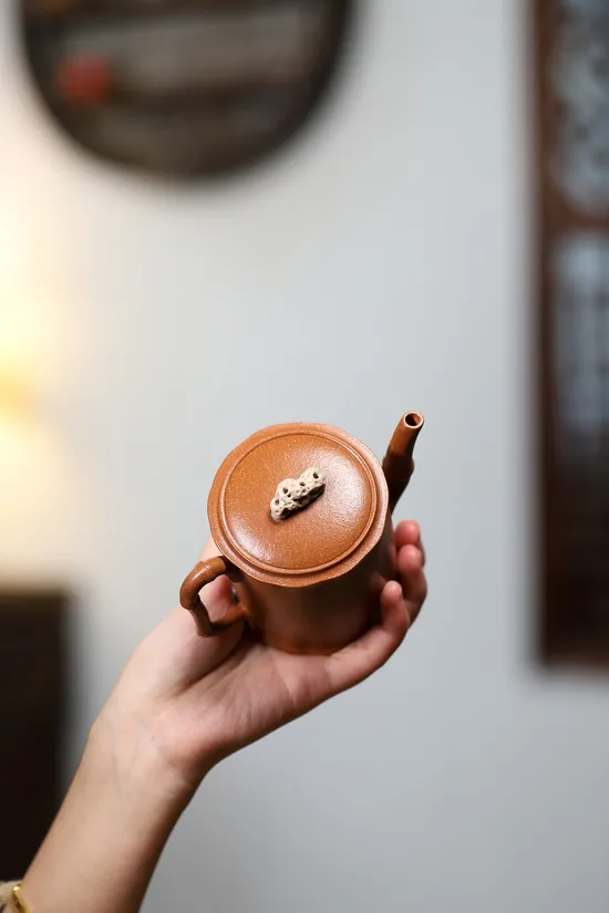 Zisha Teapots: Taihu Stone Bamboo | Huangjiangpo clay 3
