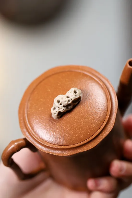 Zisha Teapots: Taihu Stone Bamboo | Huangjiangpo clay 5