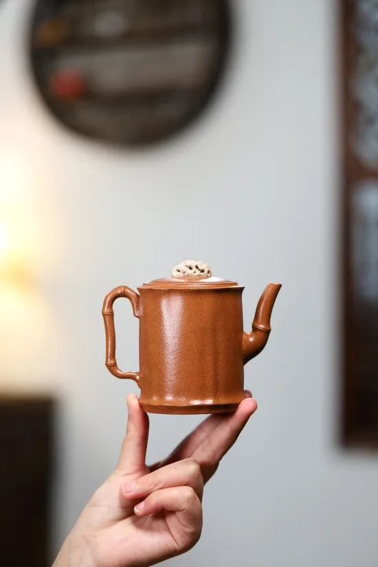 Zisha Teapots: Taihu Stone Bamboo | Huangjiangpo clay 6