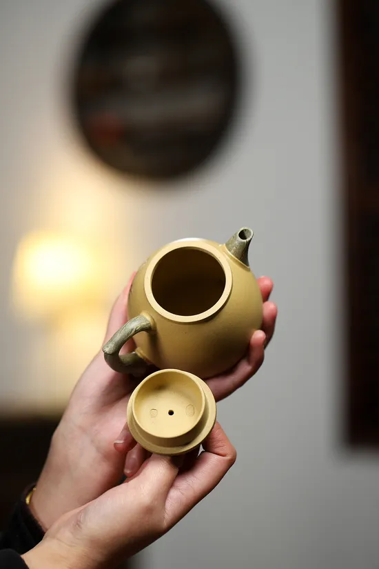 Premium Yixing Zisha Teapot | Master Crafted Clay Artistry 5
