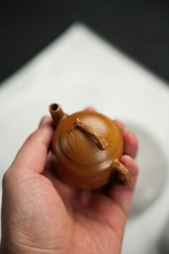 Zisha Teapots: 1 | 500 CNY | Elegant Bamboo Companion | premium golden duan clay 6