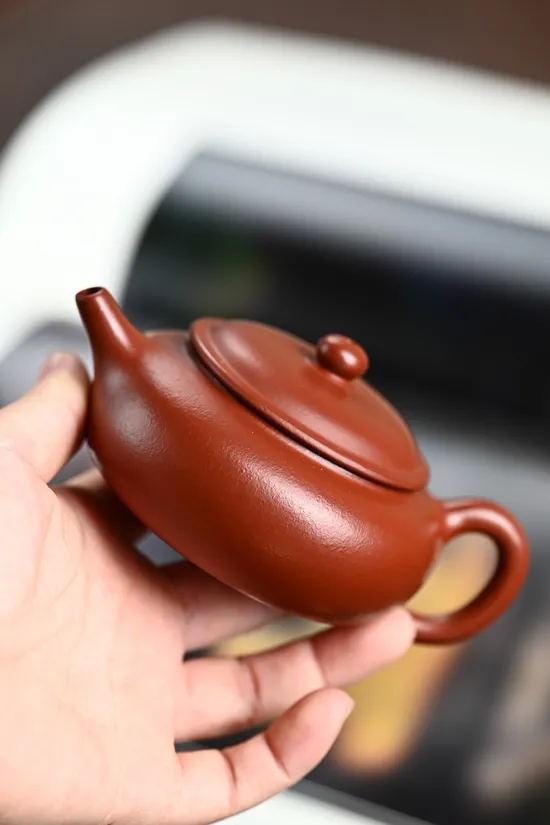 Zisha Teapots: premium wrinkled Zhu Ni | 9-hole spout design 3