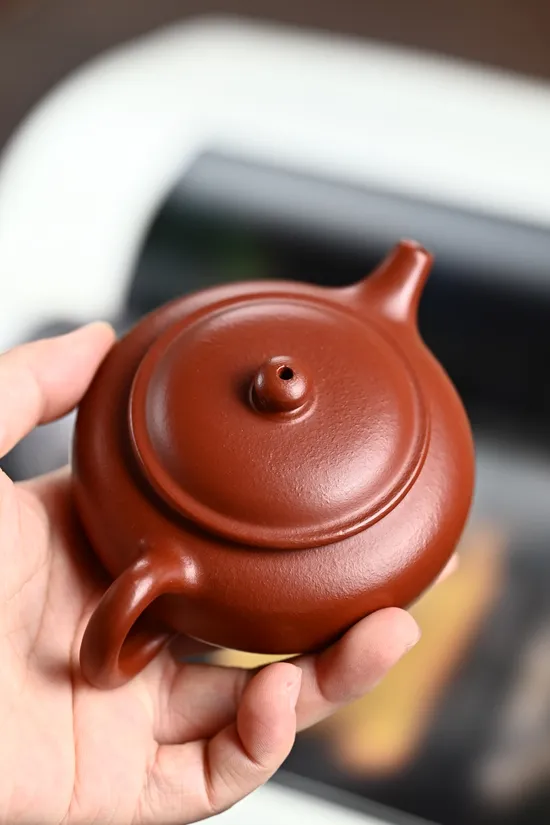 Zisha Teapots: premium wrinkled Zhu Ni | 9-hole spout design 6