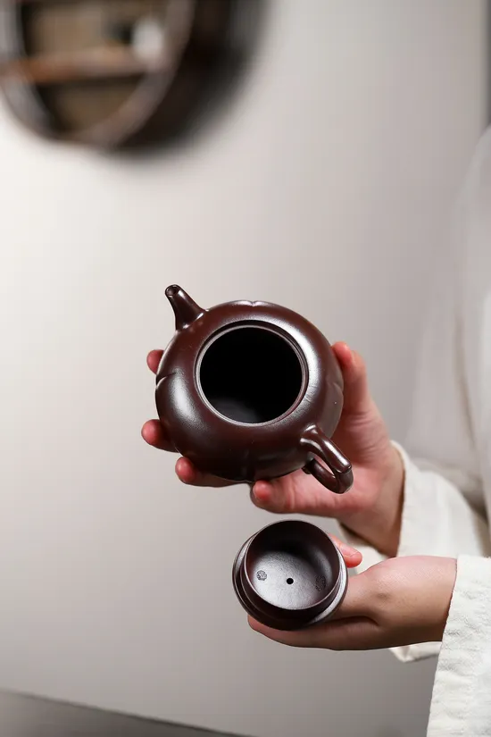 Premium Yixing Zisha Teapot | Dragon Blood Clay Craftsmanship 2