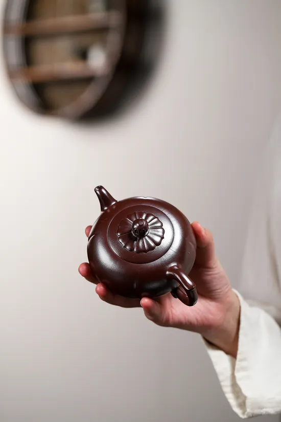 Premium Yixing Zisha Teapot | Dragon Blood Clay Craftsmanship 7