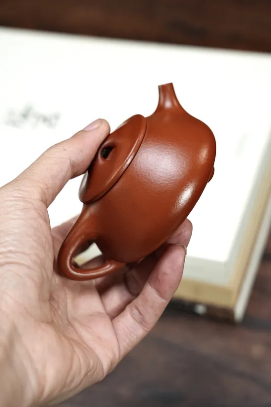 Premium Yixing Zisha Teapot – Handcrafted Clay Artisan Teapot 4