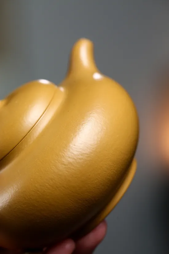 Zisha Teapots: Master Yang Peng | Fully Handmade Huaying 120cc Early Golden Zhu Ni 6