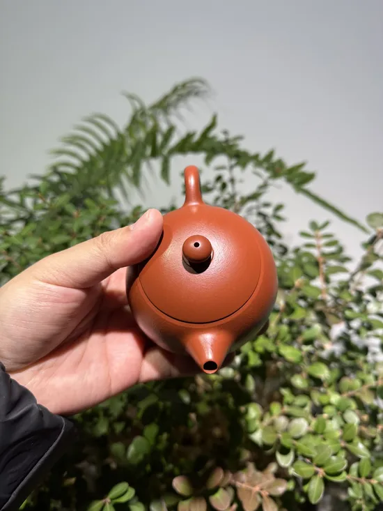Zisha Teapots: fully handmade | Da Hong Pao clay 7