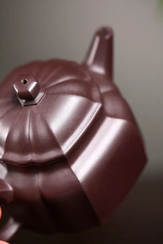 Premium Yixing Zisha Teapot | Master Crafted Clay Artisan Pottery 4