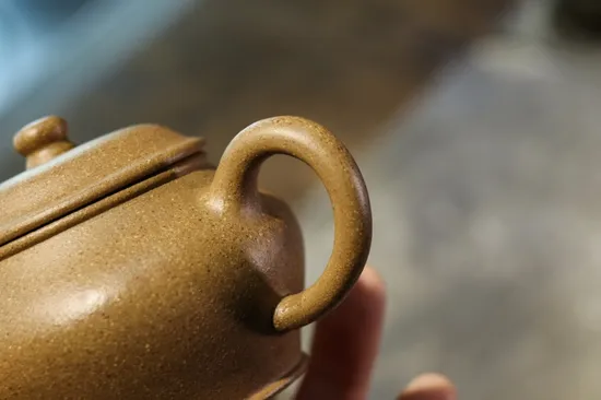 Premium Yixing Zisha Teapot - Gaodeng Clay Pot, Handcrafted Artistic Design 3