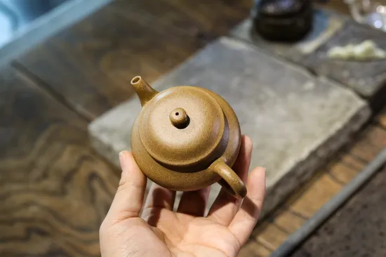 Premium Yixing Zisha Teapot - Gaodeng Clay Pot, Handcrafted Artistic Design 8