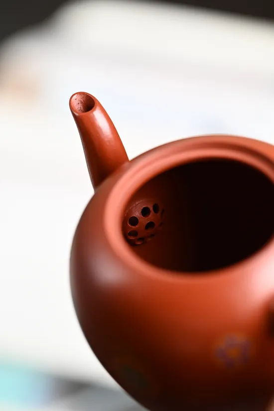 Zisha Teapots: premium wrinkled-skin red clay | 20cc capacity 5