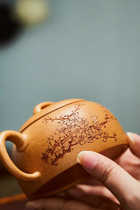 Premium Yixing Zisha Teapot | Handcrafted Clay Artisan Teapot 4