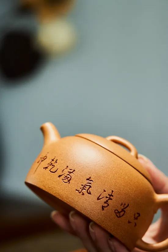Premium Yixing Zisha Teapot | Handcrafted Clay Artisan Teapot 6