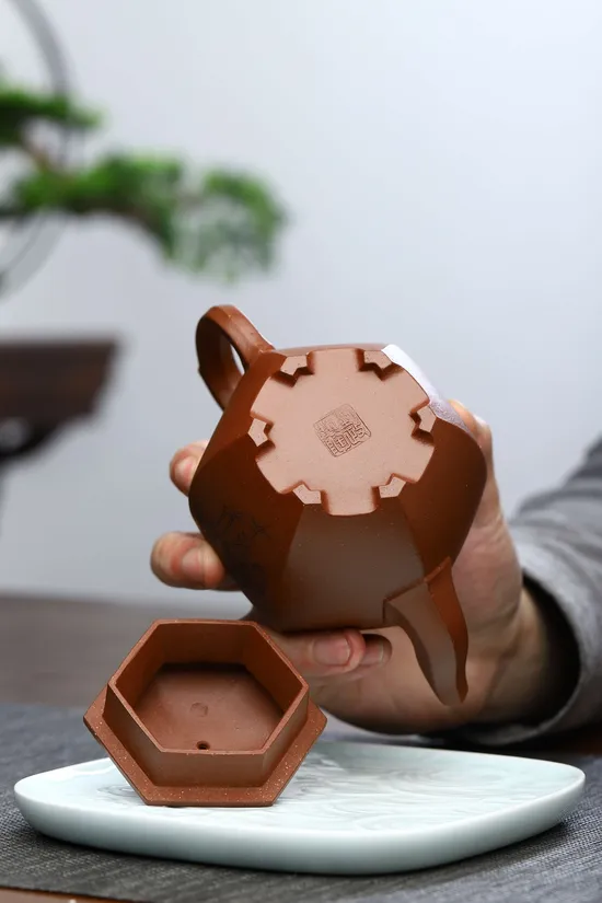 Premium Yixing Zisha Teapot - Collector's Authentic Clay Artistry 9