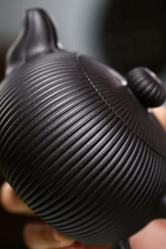 Premium Yixing Teapot | Handcrafted Zisha Clay Art | Yang Junbao 4