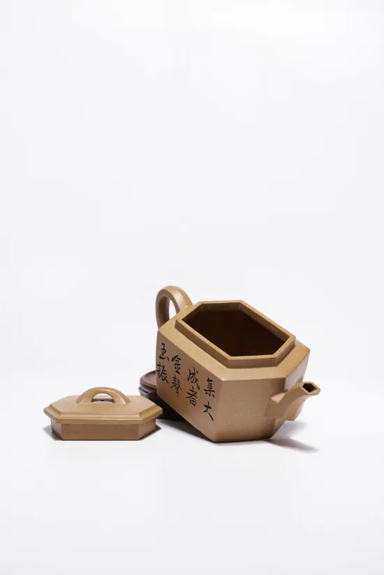 Premium Yixing Teapot | Handcrafted Zisha Clay | Collectible 50cc 3