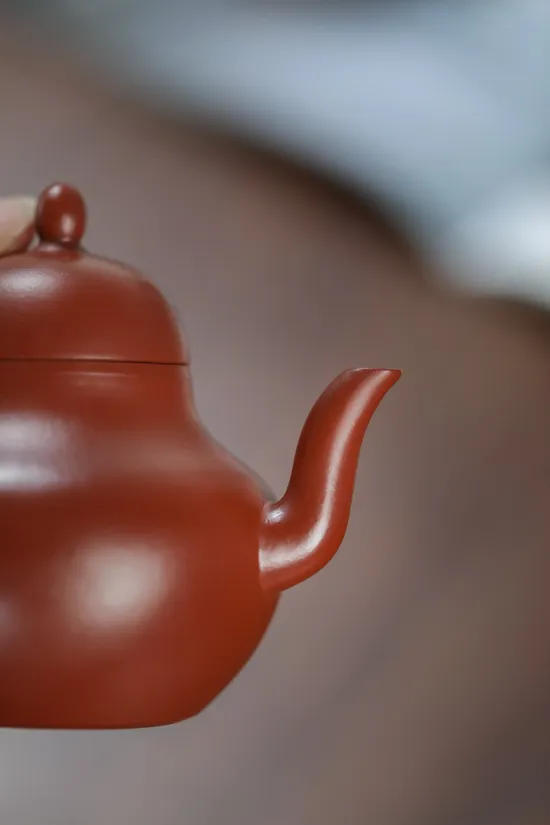 Premium Zisha Clay Teapot | Handcrafted Siting Yixing Teapot Collection 2