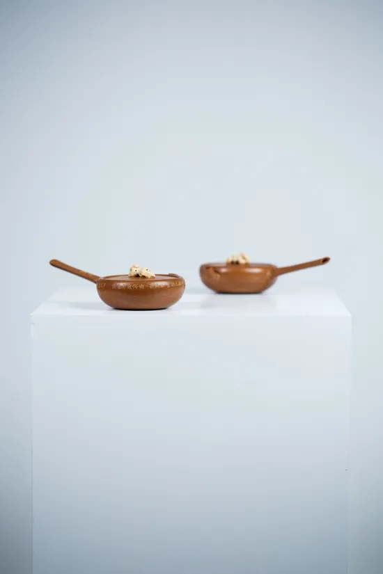 Premium Yixing Clay Teapot | Handcrafted 100cc Artisan Zisha Pot 5