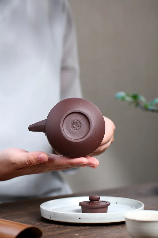 Premium Yixing Clay Teapot | Handcrafted Artisan Zisha Pottery 6