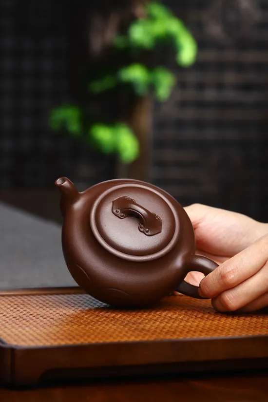 Yixing Zisha Teapot - Rare Shi Hong Clay, Master Craftsman Wang 1