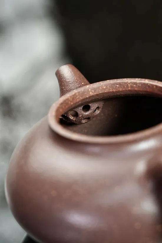 Premium Yixing Zisha Clay Teapot | Handcrafted 170cc Artisan Teapot 1