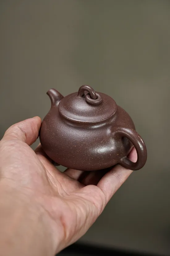 Premium Yixing Zisha Clay Teapot | Handcrafted 170cc Artisan Teapot 3