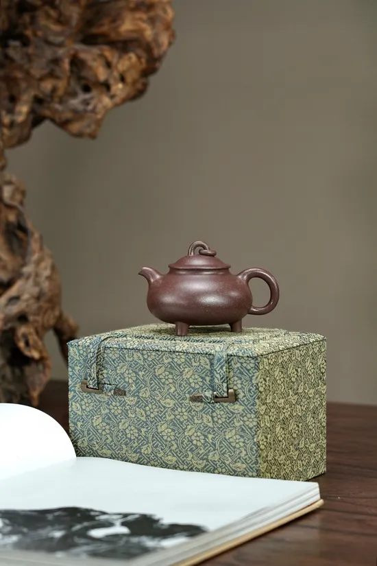 Premium Yixing Zisha Clay Teapot | Handcrafted 170cc Artisan Teapot 4