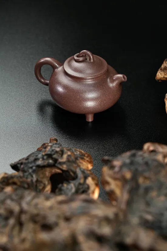 Premium Yixing Zisha Clay Teapot | Handcrafted 170cc Artisan Teapot 6
