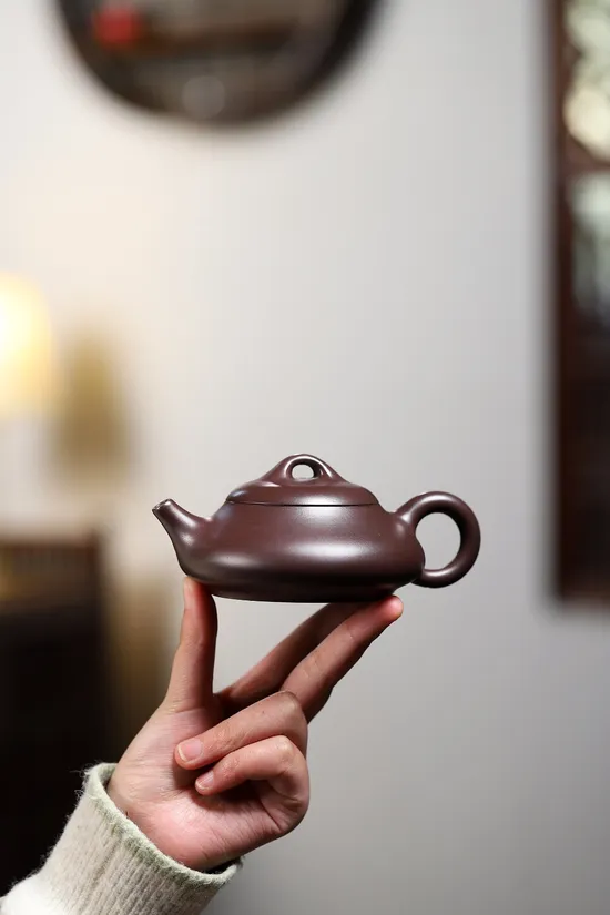 Premium Yixing Zisha Teapot | Handmade Clay Artisan Craft | 200cc 1