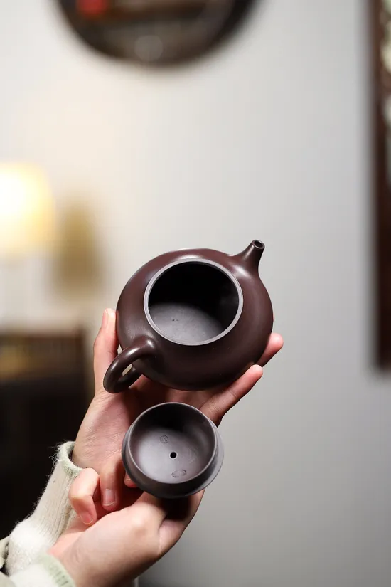 Premium Yixing Zisha Teapot | Handmade Clay Artisan Craft | 200cc 2