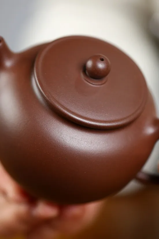 Yixing Clay Teapot | Handcrafted Artisan Teapots for Tea Lovers 6