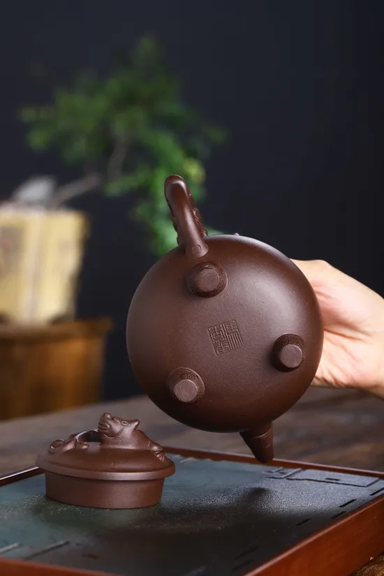 Yixing Zisha Teapot | Handcrafted Collectible Artisan Ceramic Teapot 3