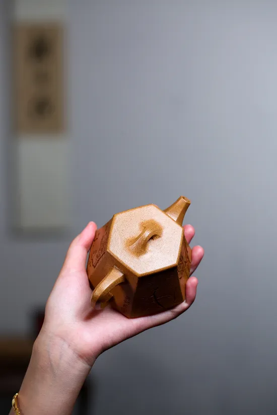 Premium Yixing Zisha Teapot | Handcrafted Artisan Clay Teapot 6