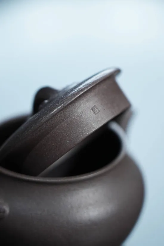 Premium Handmade Yixing Zisha Clay Teapot | Artisan Crafted Teapots 5